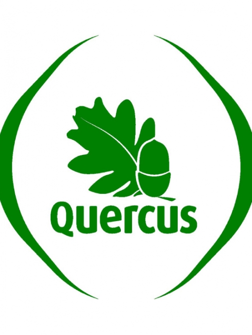 _QUERCUS