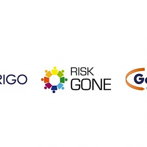 nanorigo-final-online-conference